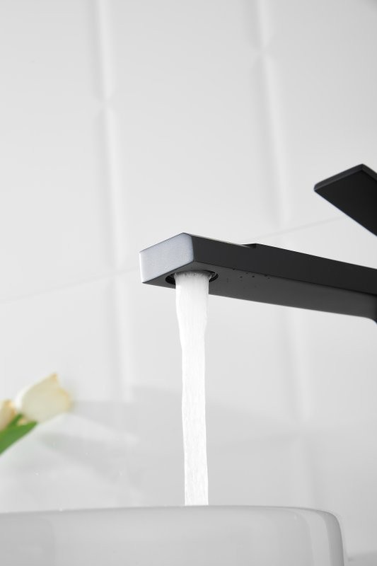 Смеситель для раковины BELZ B613 B11613-7 матовый черный