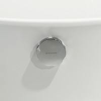 Слив-перелив для ванны WHITECROSS SPWC60 SPWC60CR 50 мм, полуавтомат, глянцевый хром, с сифоном Слив-перелив для ванны WHITECROSS SPWC60 SPWC60CR 50 мм, полуавтомат, глянцевый хром, с сифоном