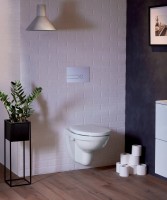Унитаз подвесной Jacob Delafon Patio E4187