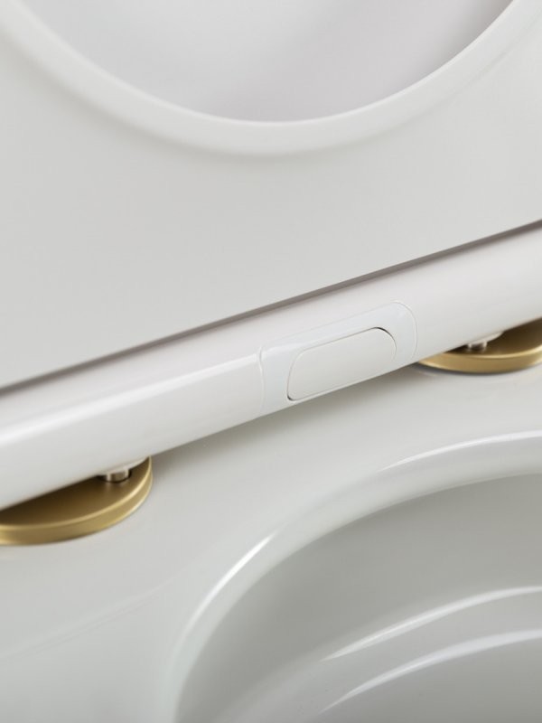 Унитаз подвесной Cezares Stylus CZR-546-TH-TOR/SC безободковый, сиденье с микролифтом