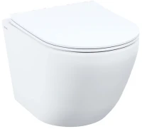 Унитаз подвесной IDDIS Blanco Q BLQNDSEI25 безободковый, с микролифтом