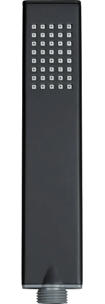 Душевая лейка Allen Brau Infinity 5.21022-31 черная