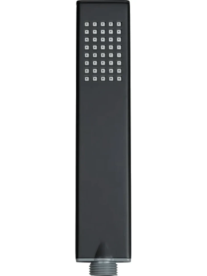 Душевая лейка Allen Brau Infinity 5.21022-31 черная