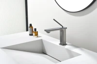 Смеситель для раковины Black&White Gravity 7105GM gun metal