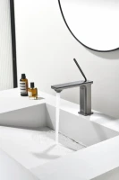Смеситель для раковины Black&White Gravity 7105GM gun metal