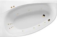 Акриловая ванна Excellent Kameleon Line L 170x110 см, угловая, левая, встраиваемая, с гидромассажем, белая, асимметричная, с каркасом, со сливом-переливом, фурнитура золото