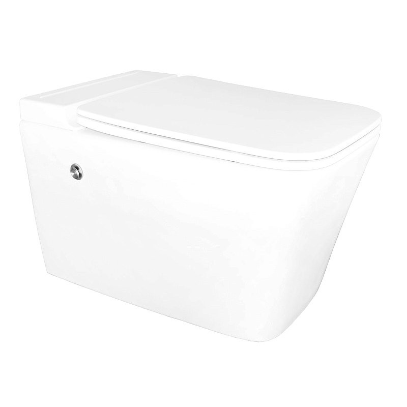 Унитаз подвесной AZARIO AZ-101C безободковый, с монтажной рамой, глянцевый белый