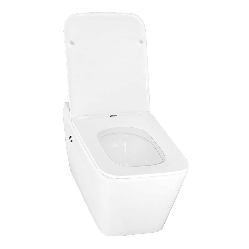 Унитаз подвесной AZARIO AZ-101C безободковый, с монтажной рамой, глянцевый белый