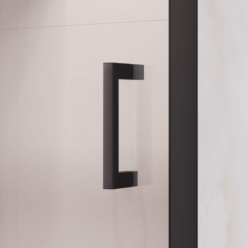 Душевая дверь в нишу RGW Passage PA-017-B 180х195, профиль черный