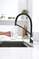 Смеситель для кухни Paulmark Siegen Si213111-BLM с гибким изливом, черный