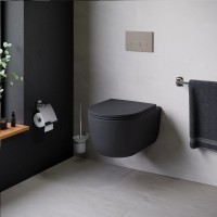 Унитаз подвесной Damixa Sirius DX86C1700MBSC с микролифтом, черный матовый