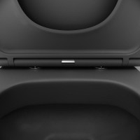 Унитаз подвесной Damixa Sirius DX86C1700MBSC с микролифтом, черный матовый