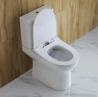 Унитаз-компакт напольный BelBagno Steam BB130CPR/SC безободковый, бачок BB130T, крышка BB130SC