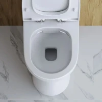 Унитаз-компакт напольный BelBagno Steam BB130CPR/SC безободковый, бачок BB130T, крышка BB130SC