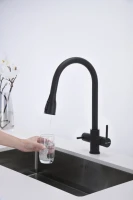 Смеситель для кухни Paulmark Lange 214212-401, антрацит Смеситель для кухни Paulmark Lange 214212-401, антрацит