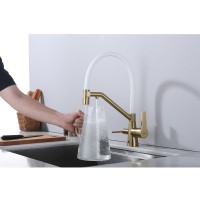 Смеситель для кухни с подключением фильтра Raglo R80.62.03, золотой сатин