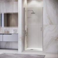 Душевая дверь в нишу RGW Leipzig LE-003 900х1950 профиль хром, стекло прозрачное