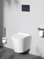 Унитаз подвесной AM.PM Sunny C85C1701SC