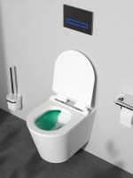 Унитаз подвесной AM.PM Sunny C85C1701SC