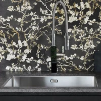Мойка кухонная Franke Box BXX 210-68 нержавеющая сталь