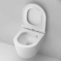 Комплект Унитаз подвесной AM.PM Func C8F1700SC безободковый, с микролифтом + Инсталляция Geberit Duofix Delta 458.149.21.1 с кнопкой смыва, хром + Звукоизоляция