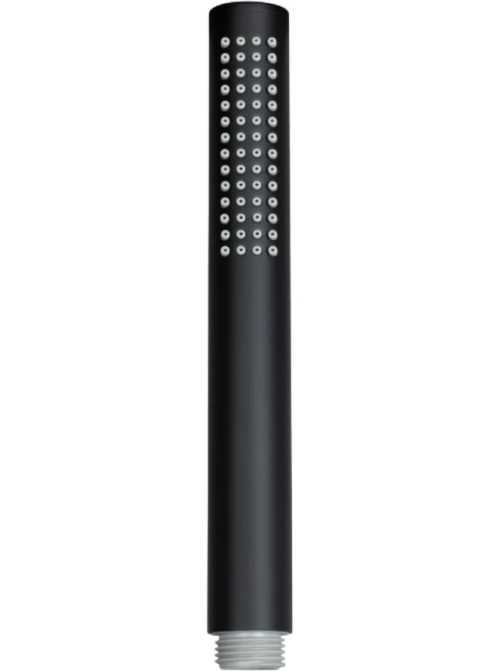 Душевая лейка Allen Brau Priority 5.31020-31 черная
