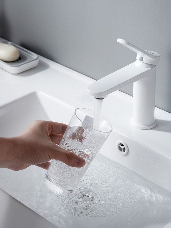 Смеситель для раковины Shevanik S4301C