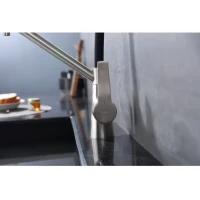 Смеситель для кухни с подключением фильтра Raglo R80.62.05, сатин Смеситель для кухни с подключением фильтра Raglo R80.62.05, сатин