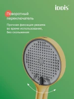 Душевая лейка IDDIS Aiger AIG4FMGi18 матовое золото Душевая лейка IDDIS Aiger AIG4FMGi18 матовое золото
