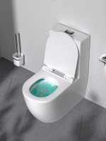 Унитаз-моноблок напольный AM.PM Func C8F8900BSC с черной кнопкой Унитаз-моноблок напольный AM.PM Func C8F8900BSC с черной кнопкой