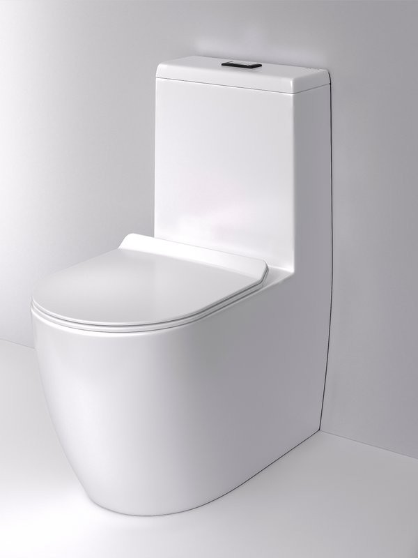 Унитаз-моноблок напольный AM.PM Func C8F8900BSC с черной кнопкой