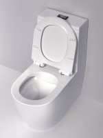 Унитаз-моноблок напольный AM.PM Func C8F8900BSC с черной кнопкой Унитаз-моноблок напольный AM.PM Func C8F8900BSC с черной кнопкой