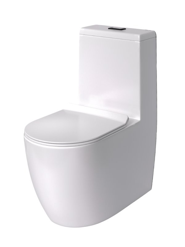 Унитаз-моноблок напольный AM.PM Func C8F8900BSC с черной кнопкой