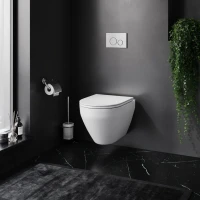 Унитаз подвесной AM.PM Spirit V2.0 FlashClean с микролифтом