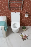 Унитаз-компакт напольный Aquanet Cetus 2.0 C1 rimless Унитаз-компакт напольный Aquanet Cetus 2.0 C1 rimless