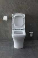 Унитаз-компакт напольный Allen Brau Infinity 4.21012.20 безободковый, с микролифтом, белый глянец