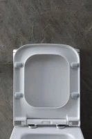 Унитаз-компакт напольный Allen Brau Infinity 4.21012.20 безободковый, с микролифтом, белый глянец