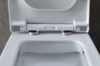 Унитаз-компакт напольный Allen Brau Infinity 4.21012.20 безободковый, с микролифтом, белый глянец