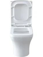 Унитаз-компакт напольный Allen Brau Infinity 4.21012.20 безободковый, с микролифтом, белый глянец