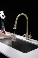 Смеситель для кухни Paulmark Lange 214212-BR, бронза