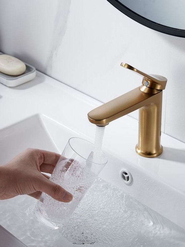 Смеситель для раковины Shevanik S4301G