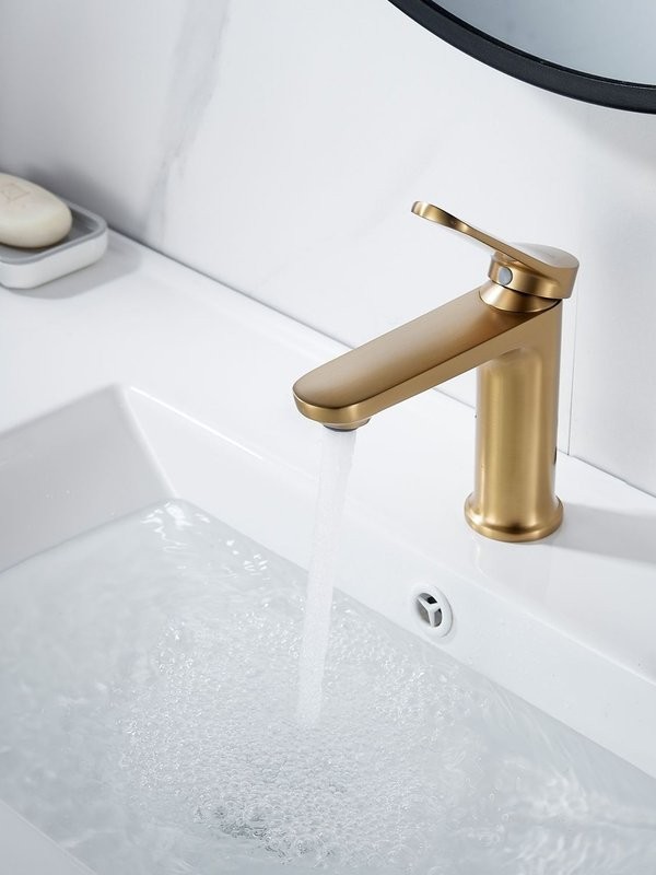 Смеситель для раковины Shevanik S4301G