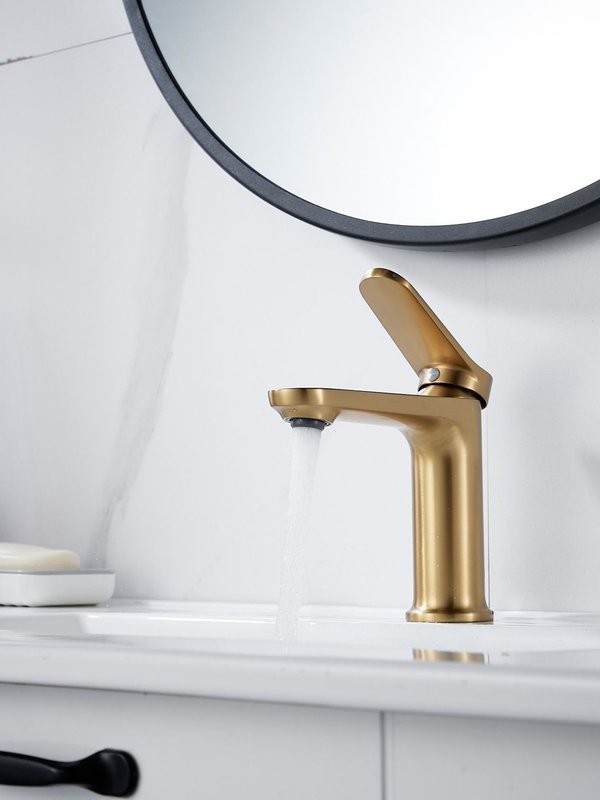 Смеситель для раковины Shevanik S4301G