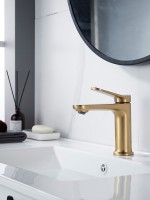 Смеситель для раковины Shevanik S4301G