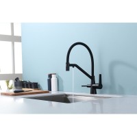 Смеситель для кухни с подключением фильтра Raglo R80.62.06, черный