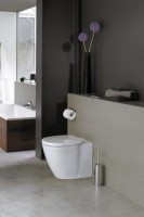 Унитаз приставной напольный Ideal Standard Connect E803401