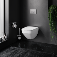 Унитаз подвесной AM.PM Inspire V2.0 C50A1700SC безободковый