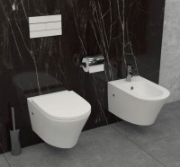 Унитаз подвесной Jacob Delafon Rodin+ EDY102-00