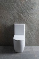 Унитаз-компакт напольный Allen Brau Priority 4.31003.20 безободковый, с микролифтом, белый