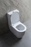 Унитаз-компакт напольный Allen Brau Priority 4.31003.20 безободковый, с микролифтом, белый